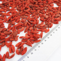 For Sale Bulk High Quality Ningxia Goji berry